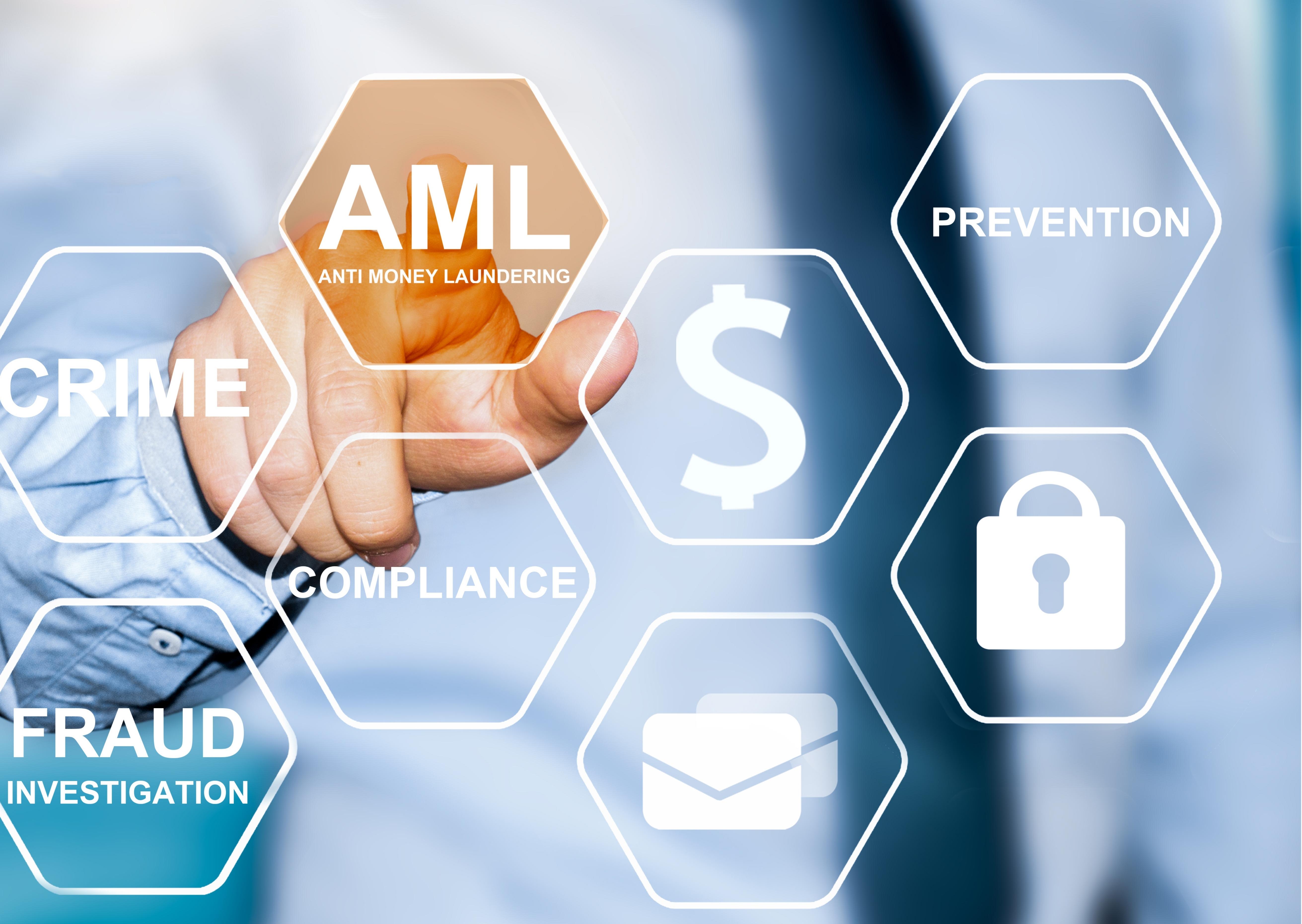 AML for Insurance - Focused Lecture Series